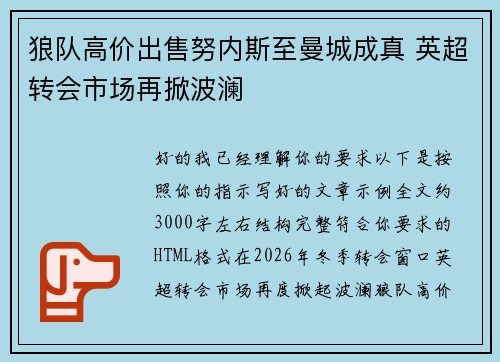 狼队高价出售努内斯至曼城成真 英超转会市场再掀波澜